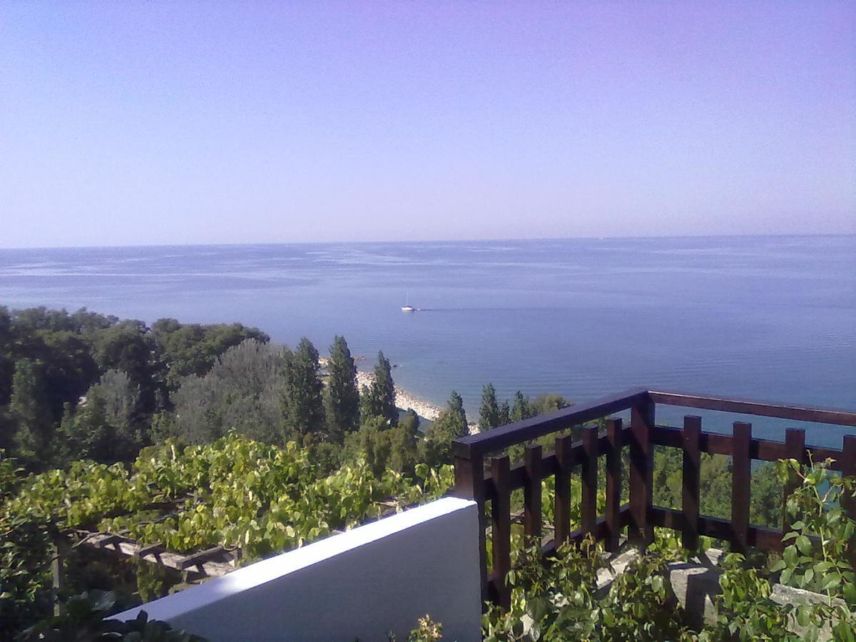 Pelion Orama Daire Agios Ioannis  Dış mekan fotoğraf