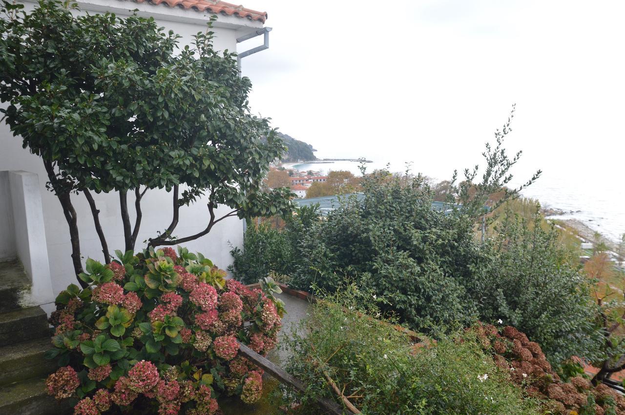 Pelion Orama Daire Agios Ioannis  Dış mekan fotoğraf
