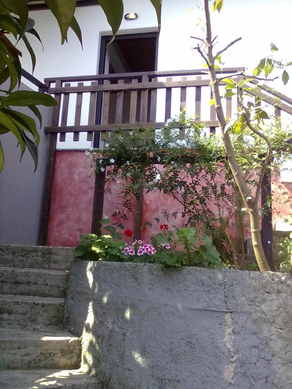 Pelion Orama Daire Agios Ioannis  Dış mekan fotoğraf